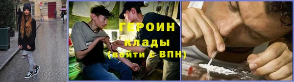 сатива Новокубанск
