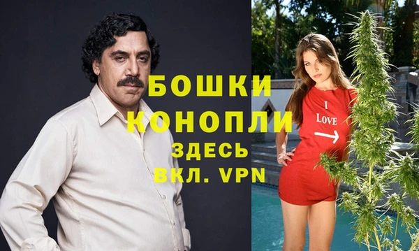 каннабис Новодвинск
