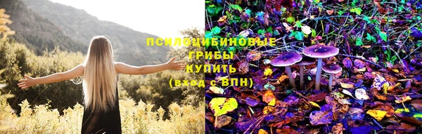 скорость Алзамай